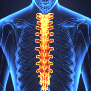 thoraric spine