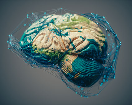 brain connection