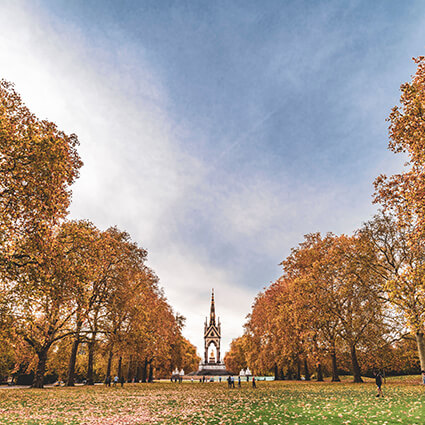 fall leaves in london