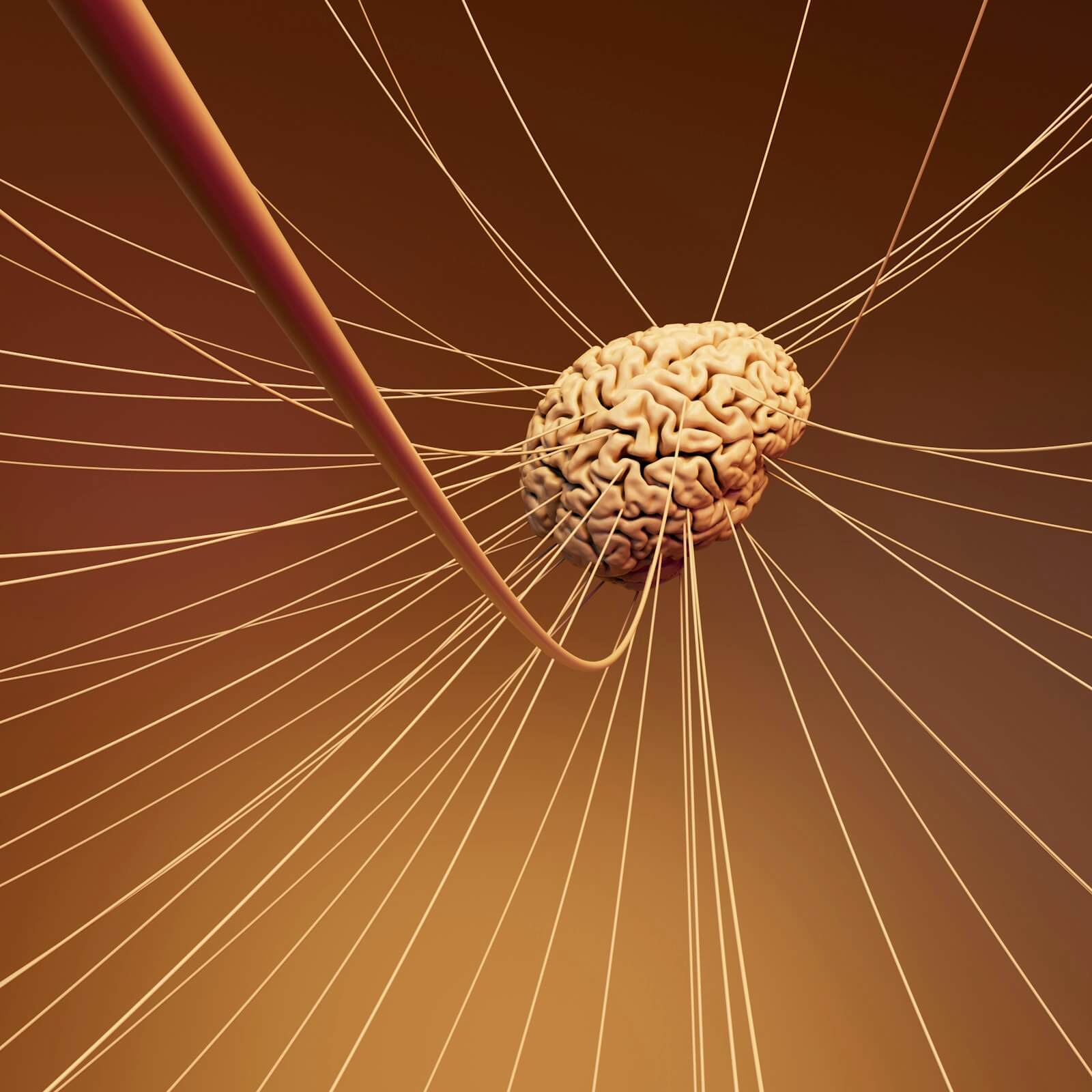 A computer generated image of a human brain