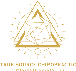 True Source Chiropractic logo - Home