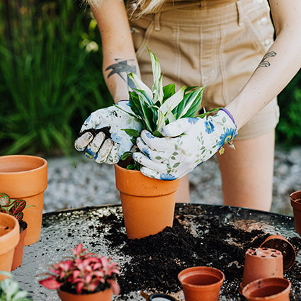 person gardening