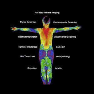 How Thermography Works Milford, Hamden, Newington CT