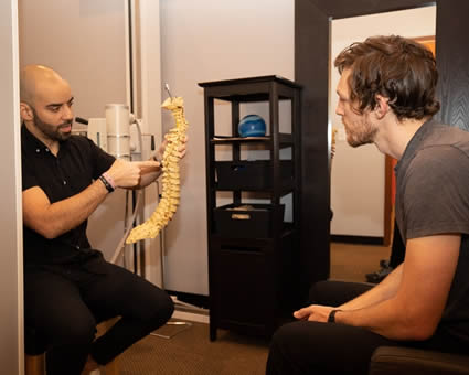 Holding spine model