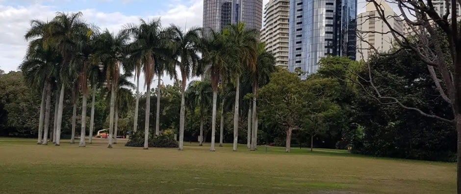 Brisbanes Botanic Gardens