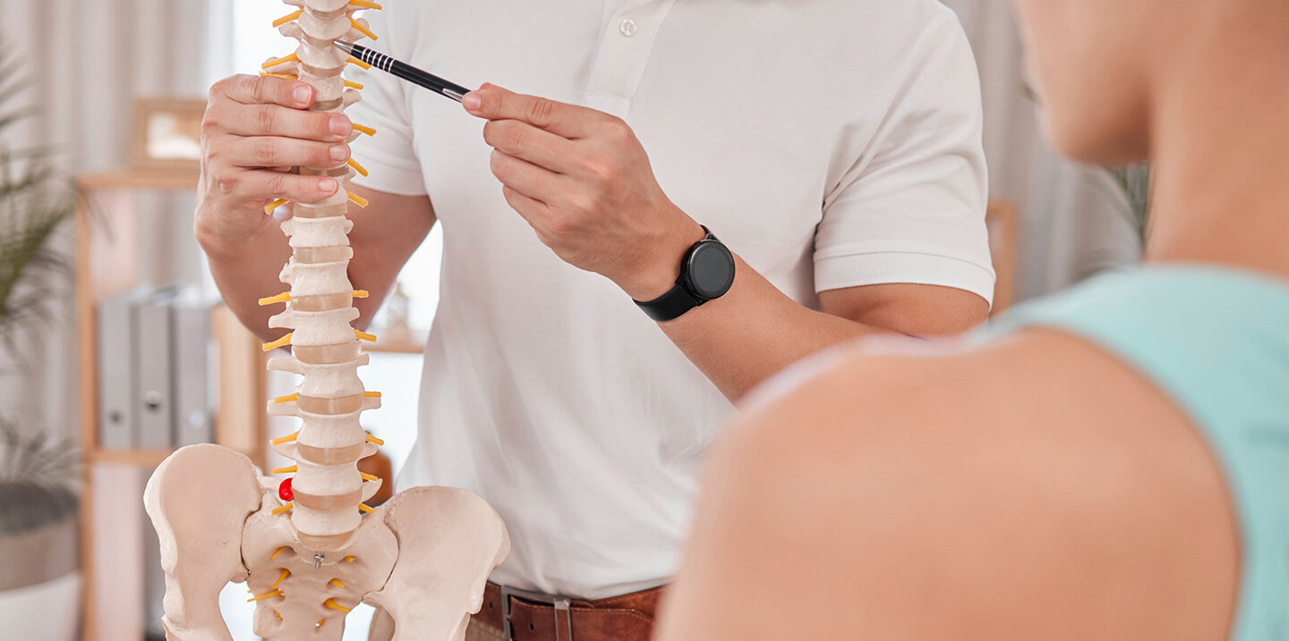 Chiropractor pointing at a 3d model of a spine