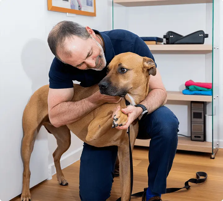 Chiropractor petting dog