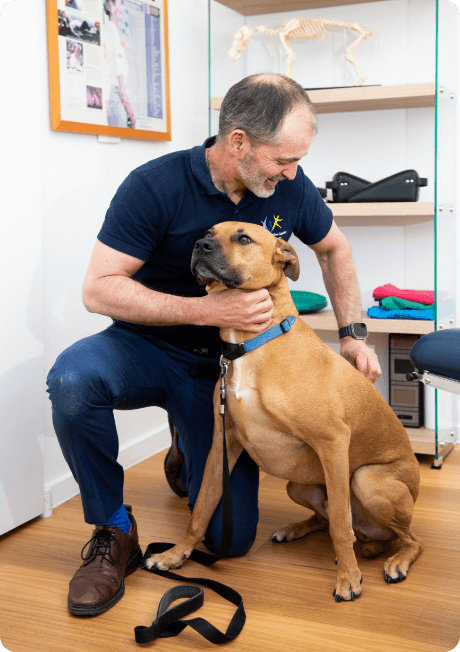Canine checkup