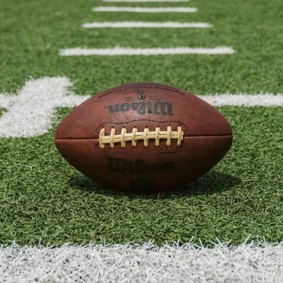 brown and black Wilson football