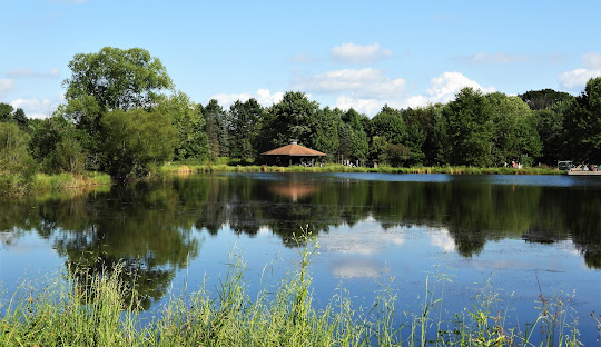 Swine-Creek-Middlefield