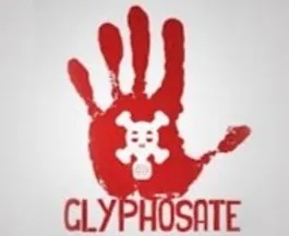 Glyphosphate