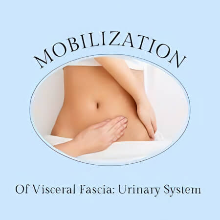 Visceral mobilization