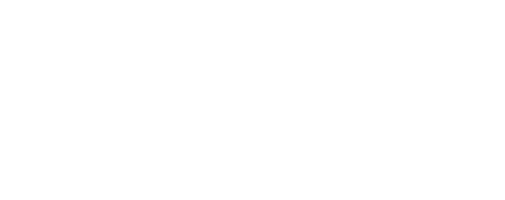 Ellis Chiropractic logo - Home