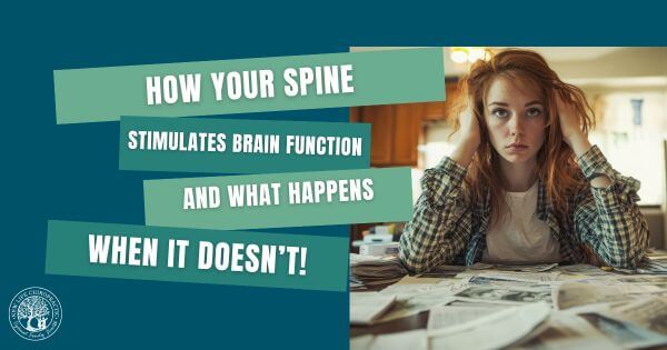 How Your Spine Stimulates Brain Function blog post image