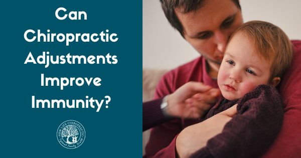 Can Chiropractic Adjustments Improve Immunity blog post header