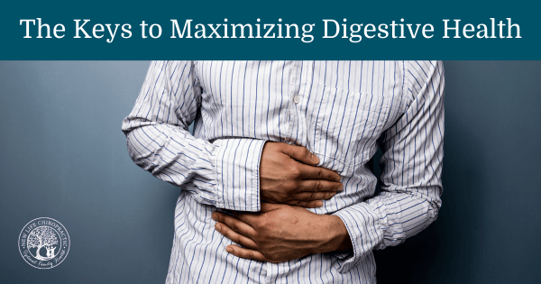 how to maximize digestive health and reduce gut inflammaiton