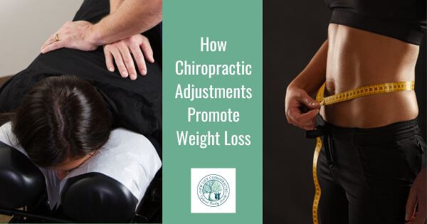 learn how chiropractic adjustments assist in weight loss