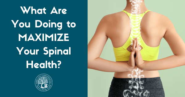 the importance of maximizing your spinal health