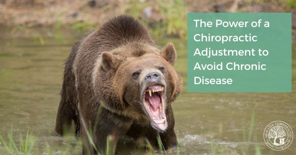 Chriropractic adjustments can you you avoid chronic illness