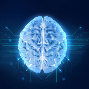 Nervous System and Hormone Balance