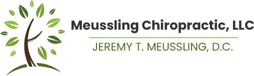 Meussling Chiropractic, LLC logo - Home