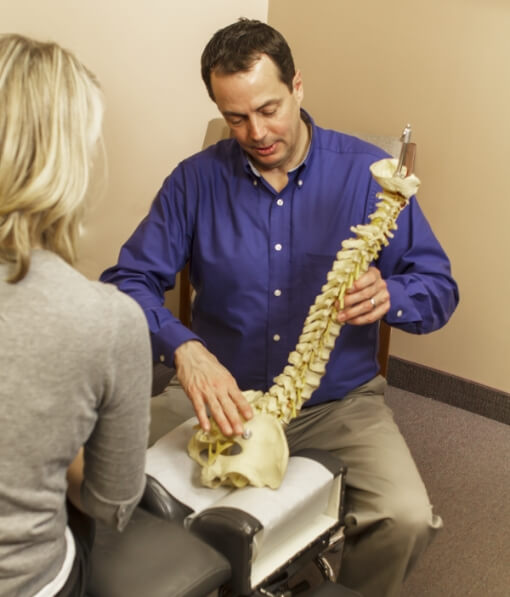 holding a spine model
