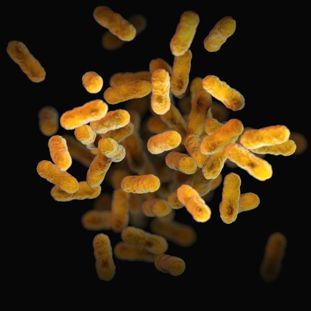 cdc-Omo_QaQChIM-unsplash