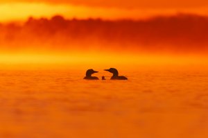 jeremy-hynes-n0CPM4ViNNg-unsplash