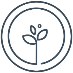 Sq-Logo