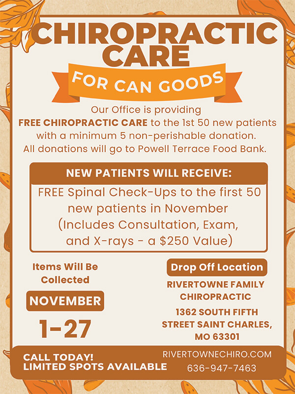 Large-Food-Drive-Flyers