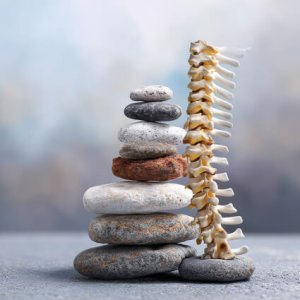 vertical spine next to stacked stones