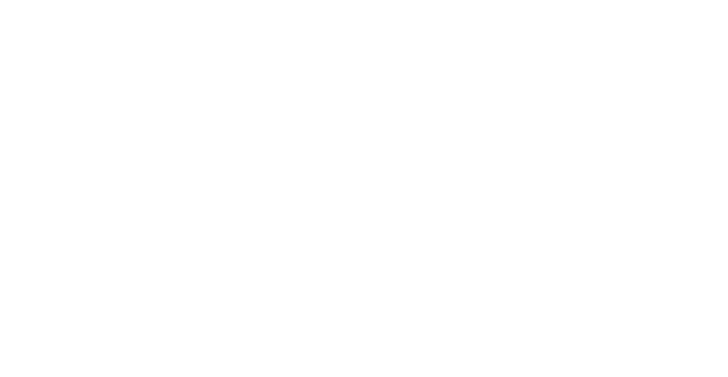 True North Chiropractic and Wellness logo - Home