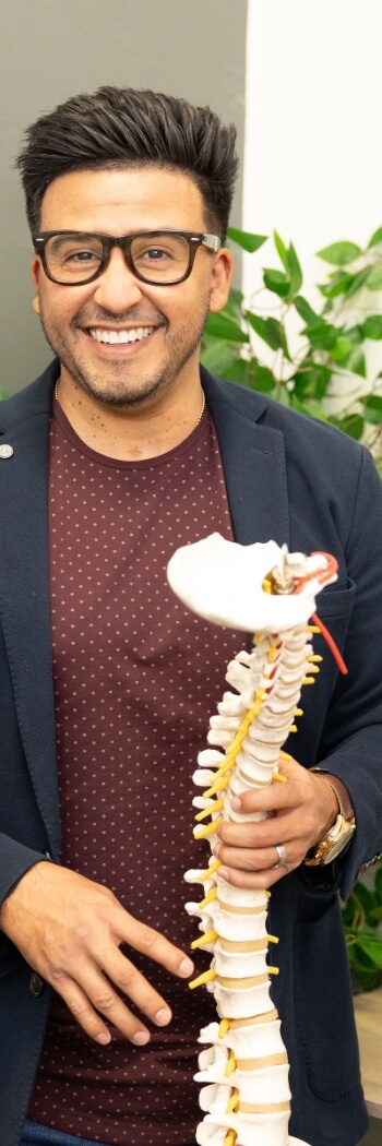 holding spine model