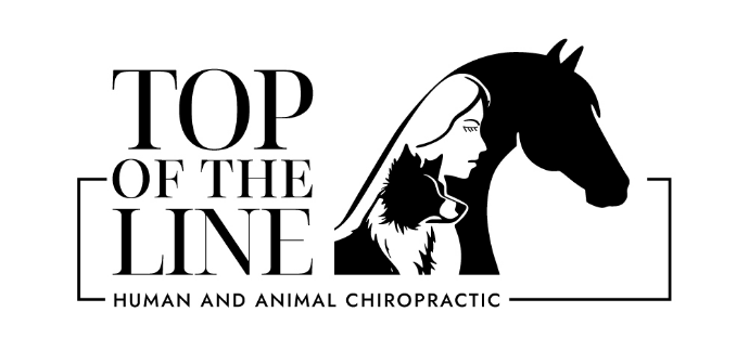 Top of the Line Chiropractic logo - Home