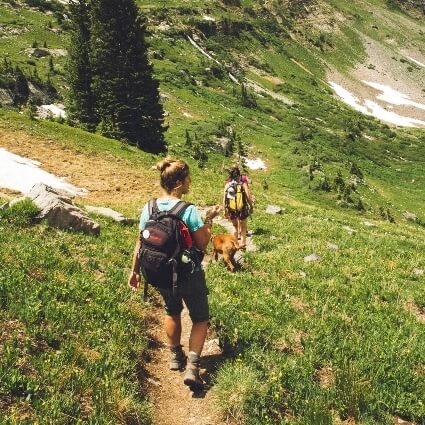 people hiking in nature