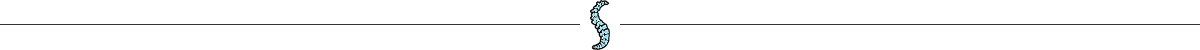 divider