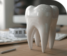 model of a tooth