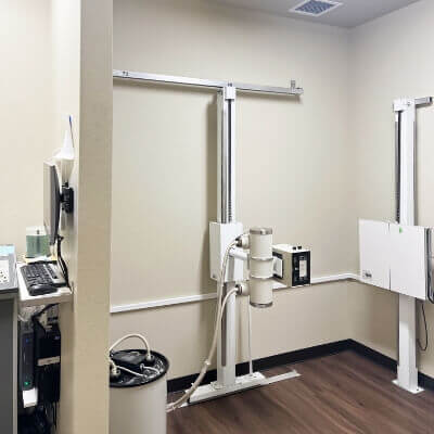 Chiropractic equipment