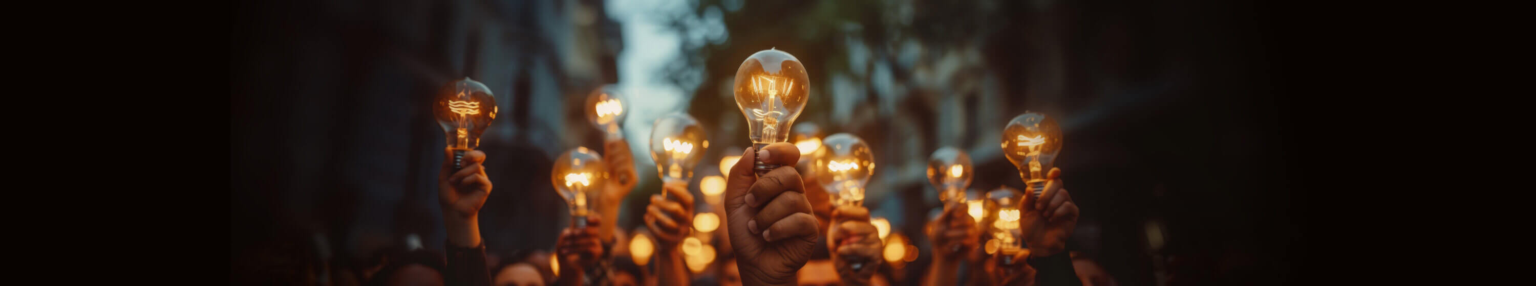 holding lightbulbs