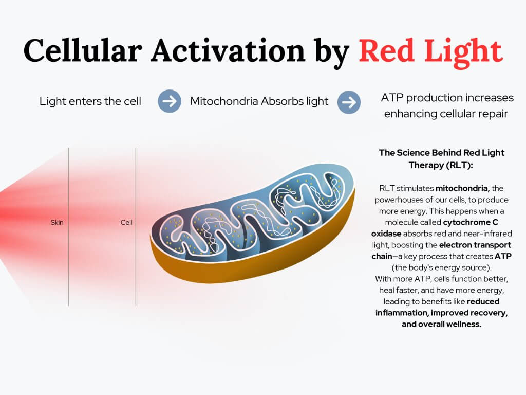 cellular activation flyer
