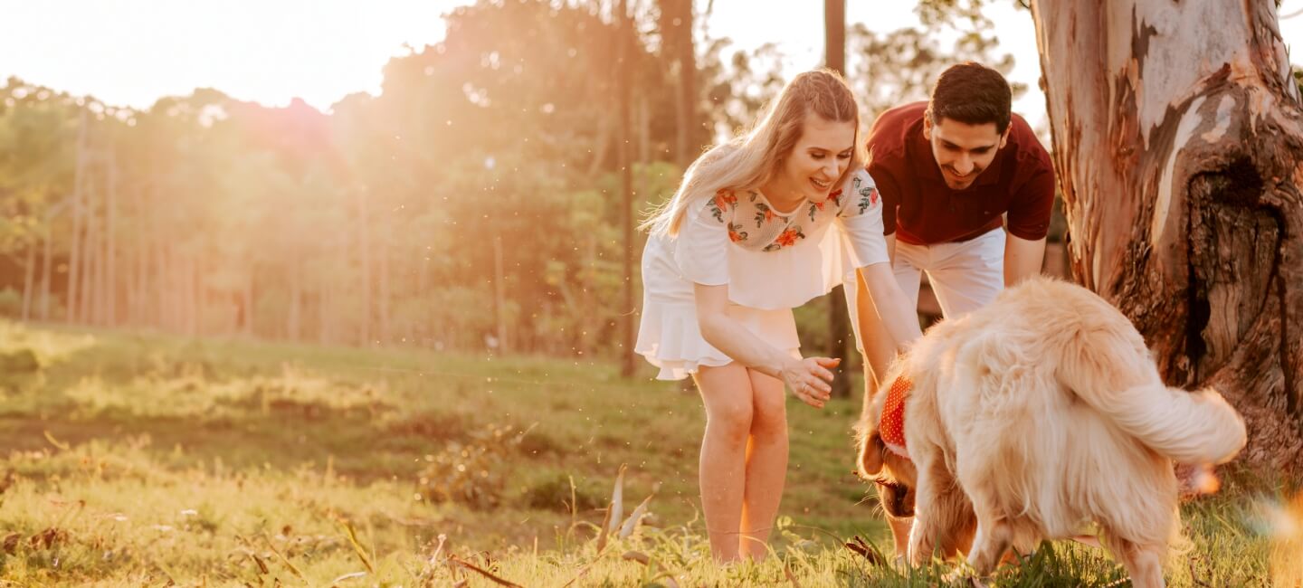 a couple and their dog playing outdoors