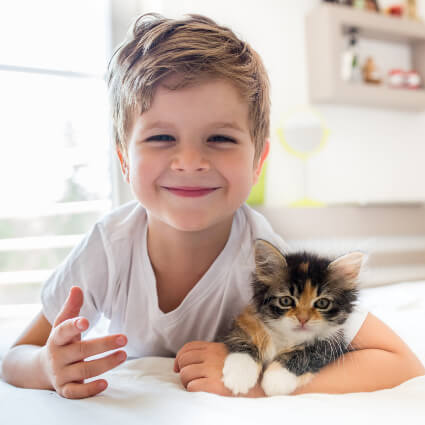 Little boy on bed holding a kitten