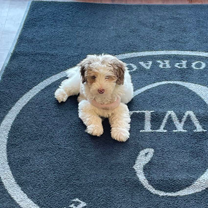 Baby Winnie