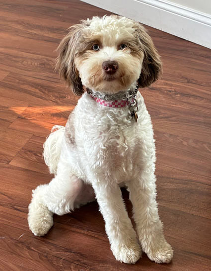 Winnie