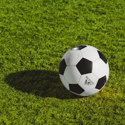 soccerball on grass