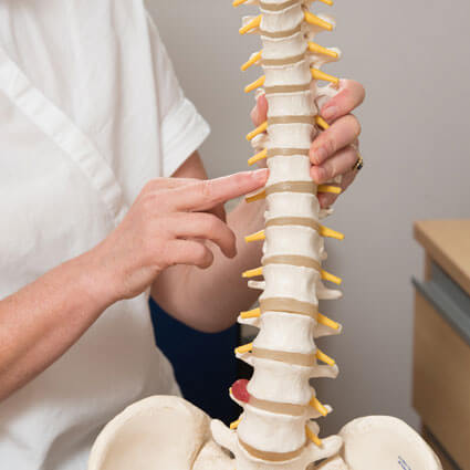 pointing to spine model