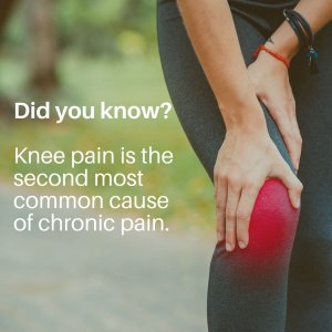 knee-pain-common