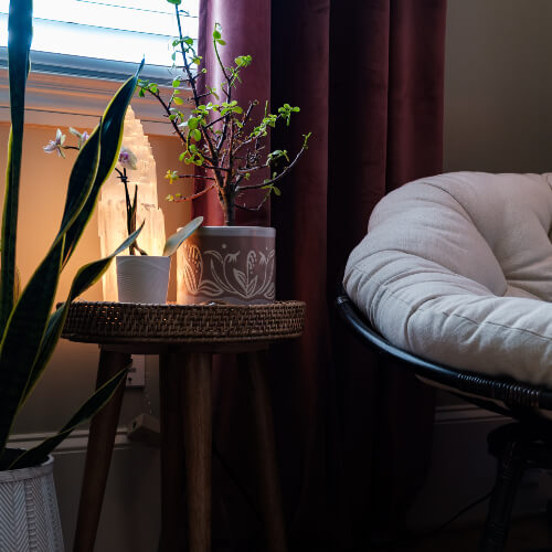 Relaxing and calming space at Holistic Alignment Strategies