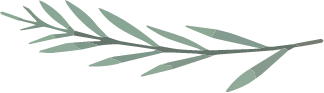 flower graphic