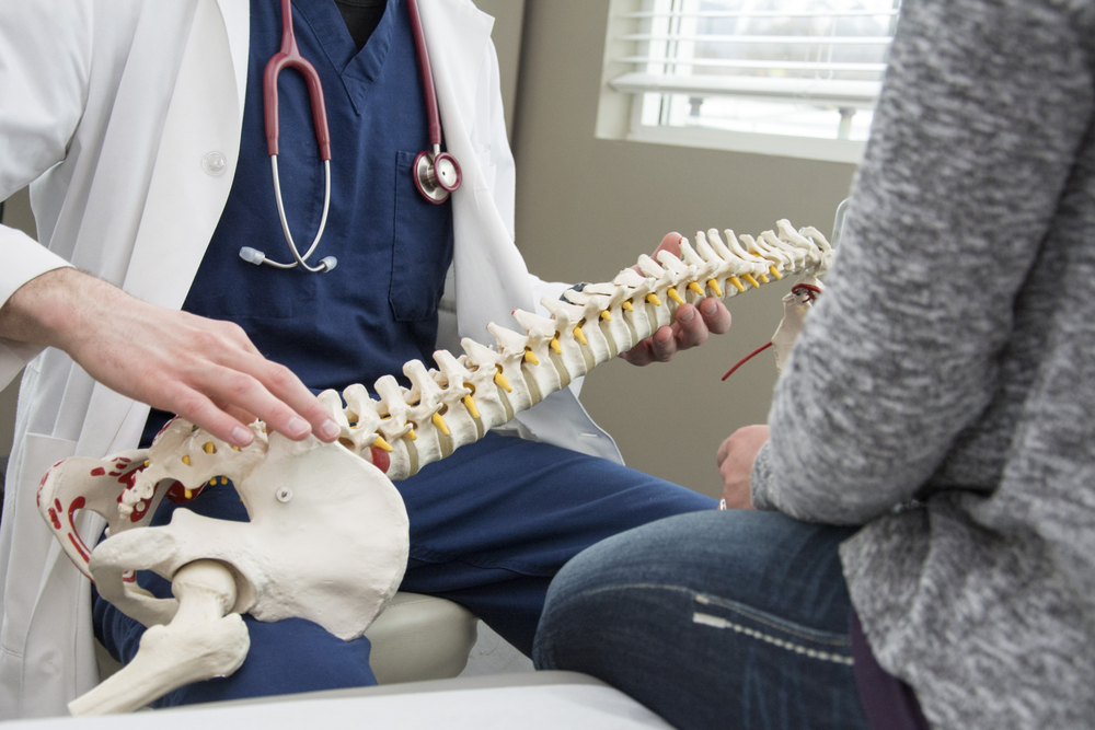 Chiropractor holding spine